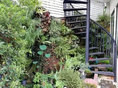a garden with a staircase and plants at Double D Rooms & Cafe in Bangkok