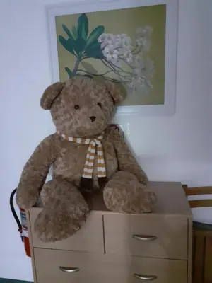 a teddy bear sitting on top of a dresser at BaanSu Hostel in Bangkok
