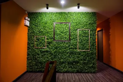 a green wall with three windows in a room at The Corner Ratchada in Bangkok