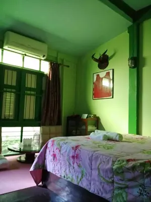 a bedroom with a bed in a room with green walls at Baan Tepa Boutique House in Bangkok