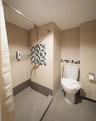 a bathroom with a toilet and a shower at Grand Alpine Hotel in Bangkok