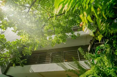 a building with a bunch of trees in front of it at Peace Land Khaosan in Bangkok
