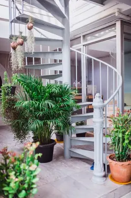 a group of potted plants sitting next to a staircase at NK Guesthouse 2 in Bangkok