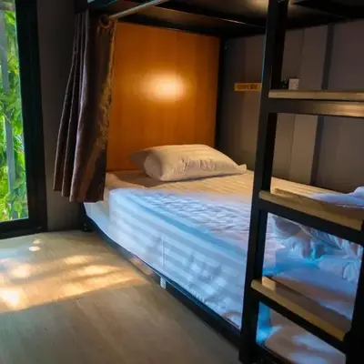 Comfy Bed Hostel