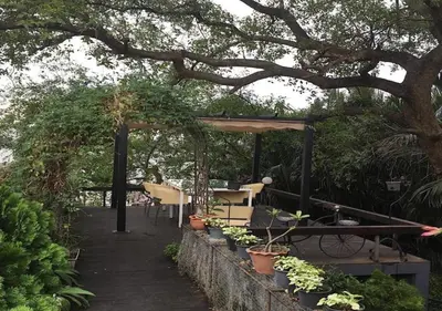 a patio with a table and chairs and plants at Bangkok Tree House Bang Kachao in Bangkok