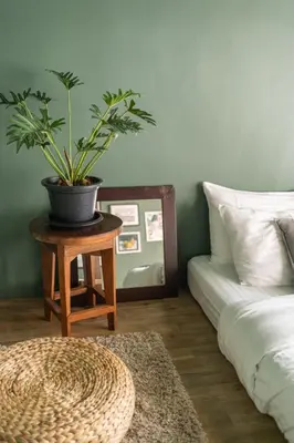 a potted plant on a table next to a bed at Better Moon Guesthouse in Bangkok