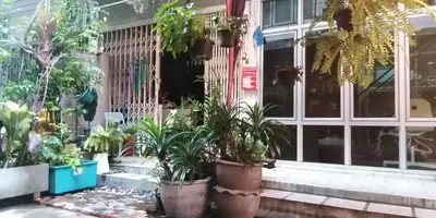 a group of potted plants in front of a building at NBH.@ Prannok in Bangkok