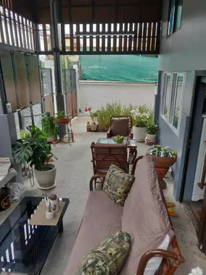 a patio with couches and a table and potted plants at THE HOG in Bangkok Yai