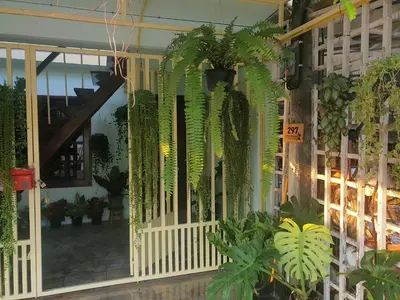 a bunch of plants are hanging from a building at 297 Nature Residence in Bangkok