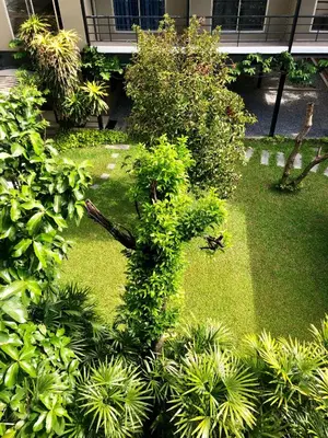 a garden with trees and plants in front of a building at N11Hotel in Bangkok