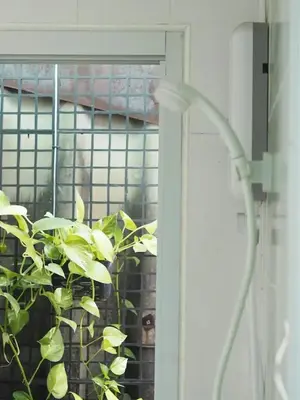 a green plant in front of a window at Makkasan Happy Home in Bangkok