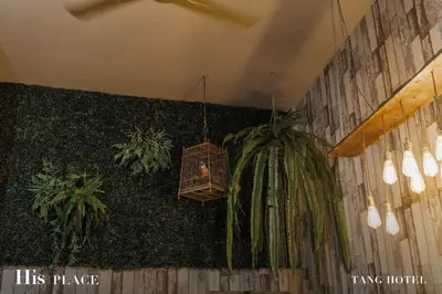 a bird cage hanging from a wall with plants at Tang House in Bangkok