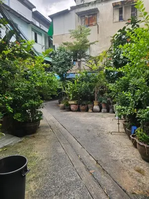 a row of potted plants on a sidewalk next to a building at Real Bangkok Guesthouse Private 3BR Home 3 Min to BTS Ratchathewi in Bangkok