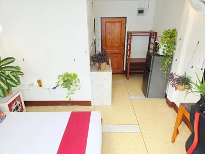 a room with potted plants on the walls at Lumphini 9 Haven Urban Retreat Bright Room in Bangkok