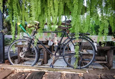 a bike parked next to a table with plants at โรงแรมบ้านเพิ่มสุข อิมแพ็ค เมืองทอง in Pak Kret