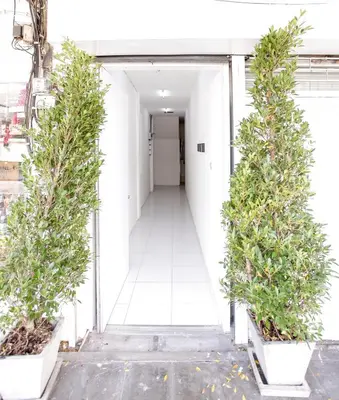 a hallway with two potted trees in pots at Hidden Habitat - Design Guesthouse in Bangkok