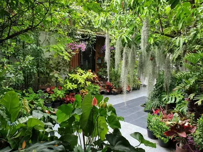a garden with lots of plants and flowers at 37 Nature House in Bangkok