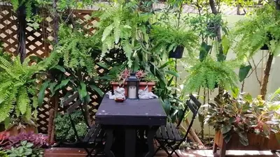 a table in the middle of a garden with plants at 37 Nature House in Bangkok