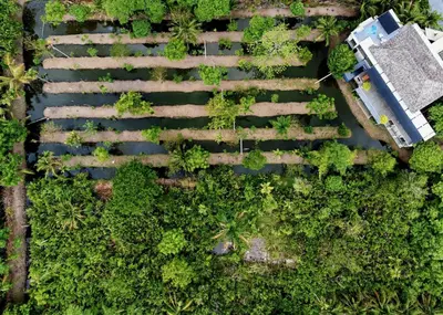 an overhead view of a garden with trees at Coconut Lane Bangkok in Bangkok