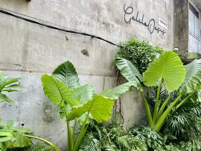 a bunch of green plants next to a wall at GalileOasis Boutique Hotel in Bangkok