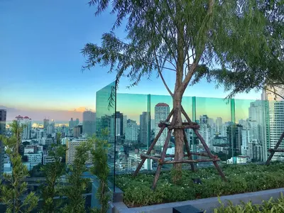 a tree with a swing in front of a city at Rhythm sukhumvit 36 two bedrooms in Bangkok