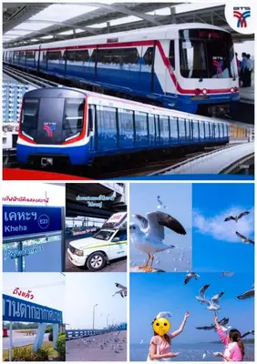 a collage of pictures of a train and birds at Rooms bangkok nearby Onnut bts in Amphoe Phra Khanong